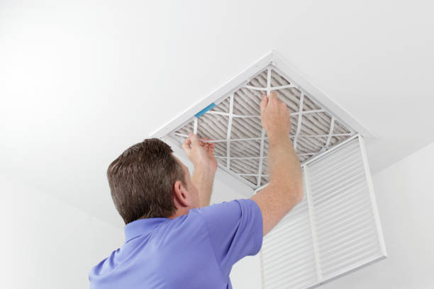 Best Mold and Mildew Removal from Ducts in Norfolk, NE